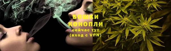 амф Елабуга