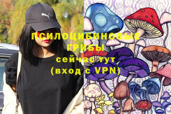 амф Елабуга