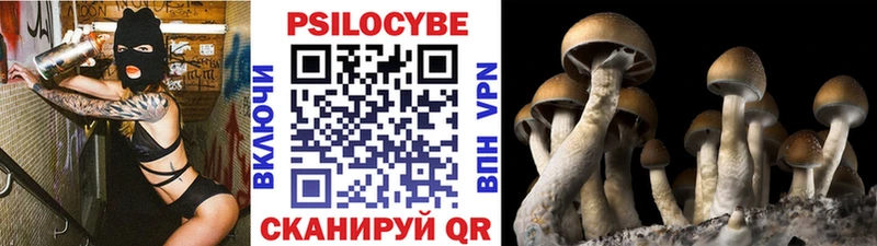 Галлюциногенные грибы Psilocybine cubensis OMG маркетплейс Черкесск